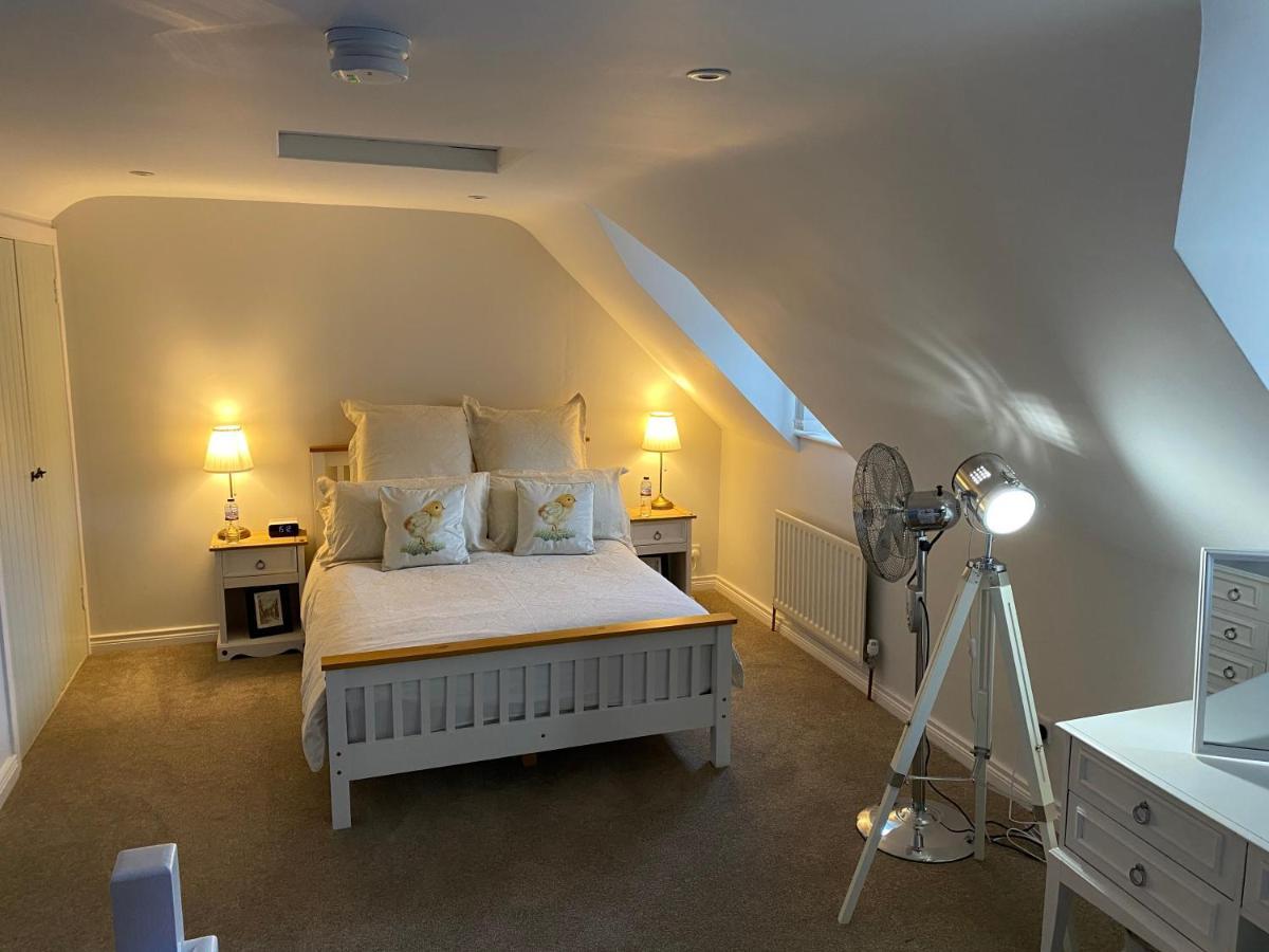 Arthur Street Guest Cottage هيلزبره المظهر الخارجي الصورة